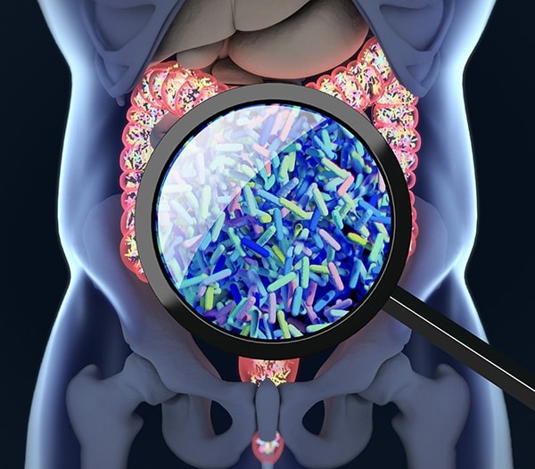 605142400 122164231142886885 823964954687805983 n